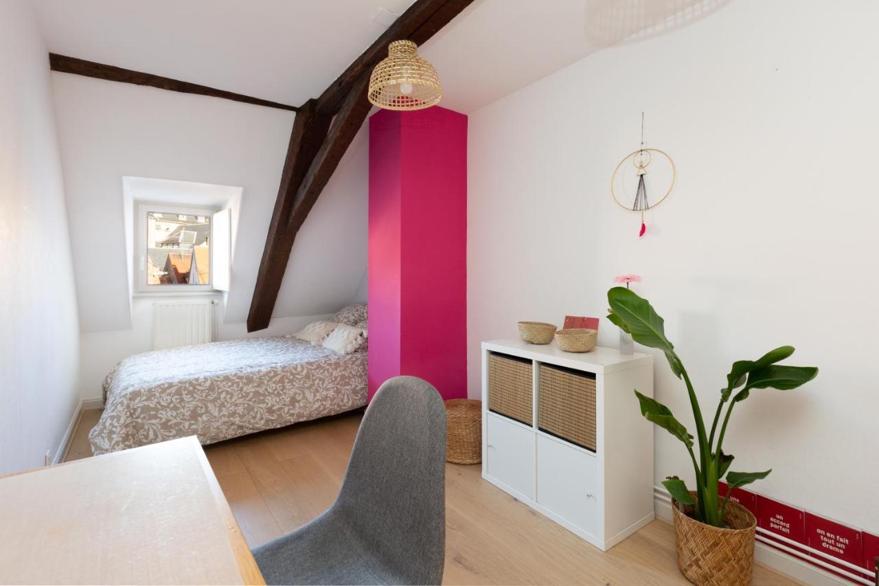 Petite France-Cathedrale, Duplex 100M2- 3 Chambres Strasbourg Bagian luar foto